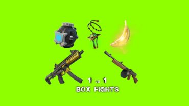 🏆BOX FIGHT 1VS1🏆