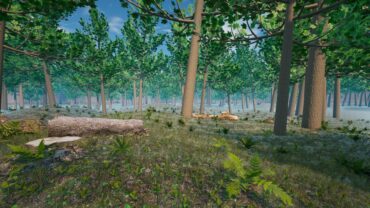 Forest Zone War - All Weapons 🌲