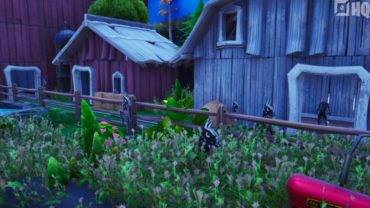 Llama Roundup!