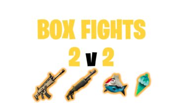 Box Fight (2v2) (Solid Gold)📦