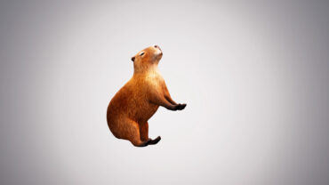 Spinning Capybara